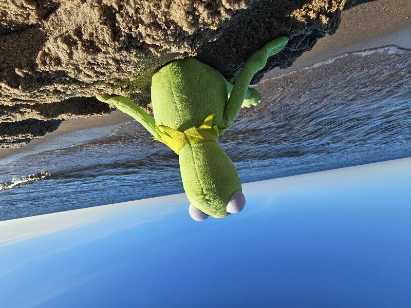 Andrea Kaufmann-Kreit