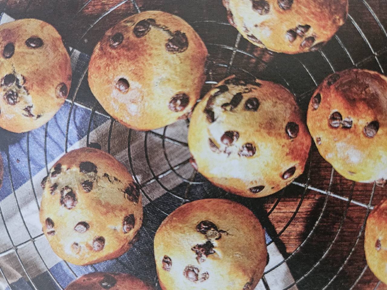 Schoko-Dinkelbrötchen