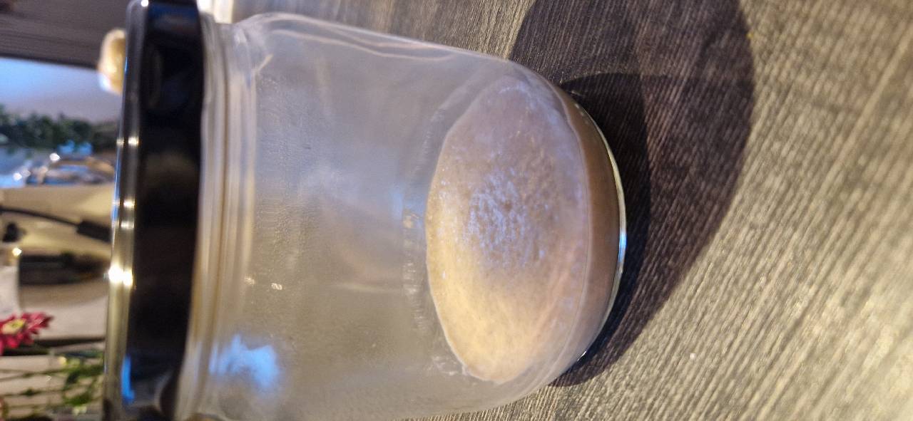 Sauerteig-Starter Fütterung