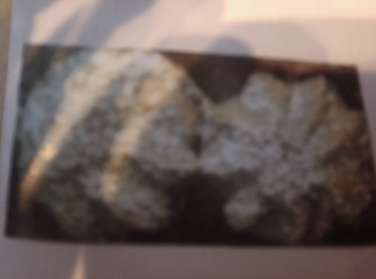 Apfelstrudel Spritzgebäck