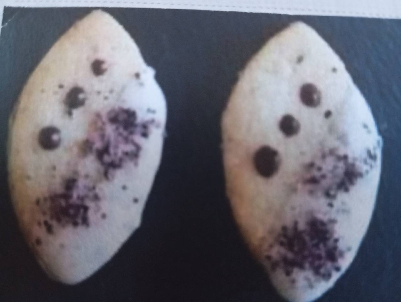 Heidelbeerschiffchen