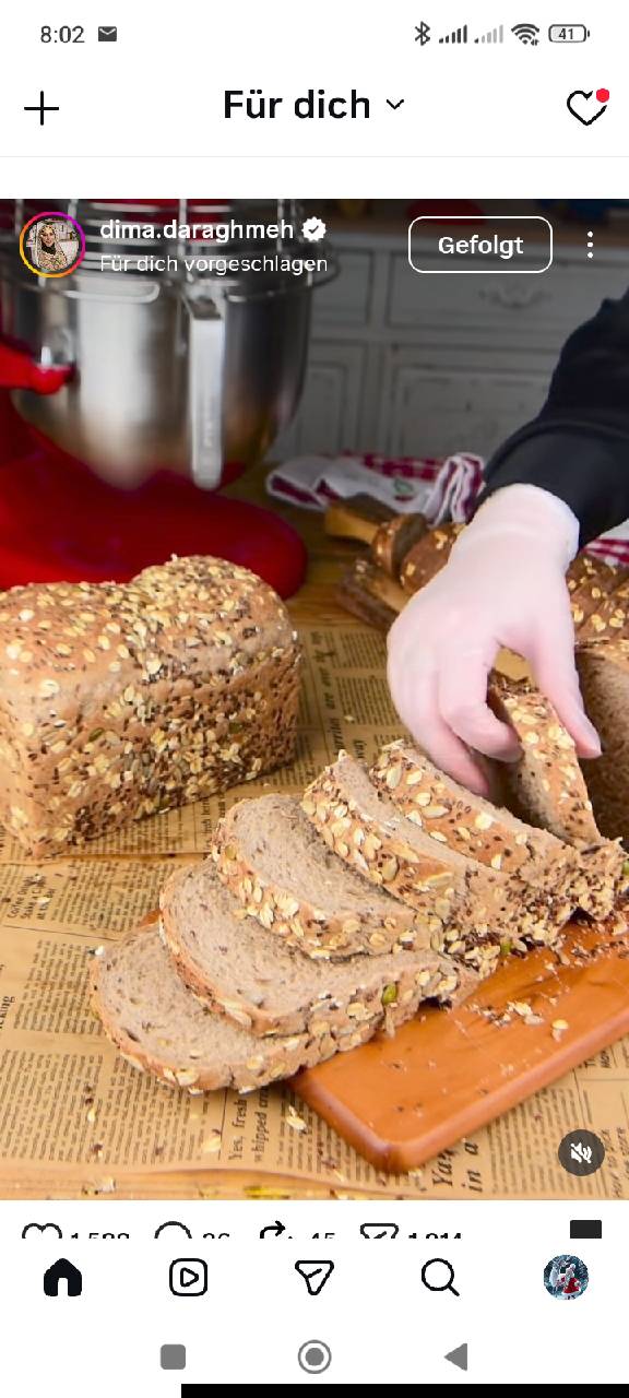Vollkorn-Toastbrot mit Tangzhong