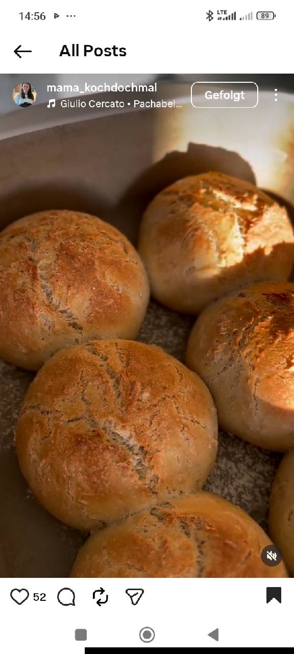 Toastbrot oder Brötchen Grundrezept