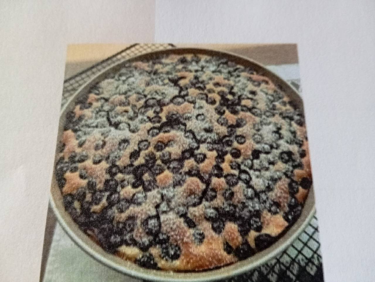 Saftiger Heidelbeerkuchen