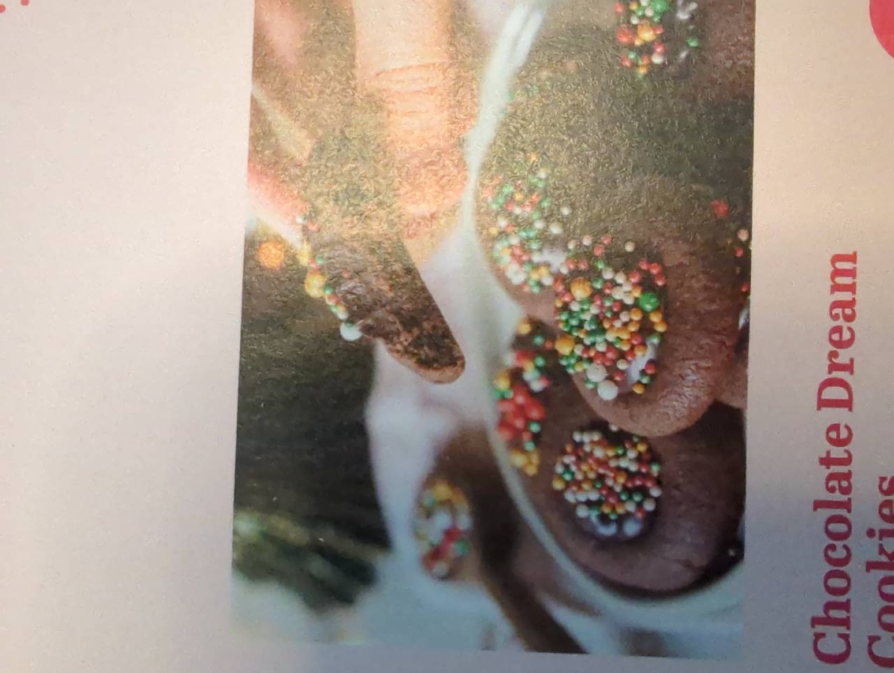 Schokoladen Traum Kekse