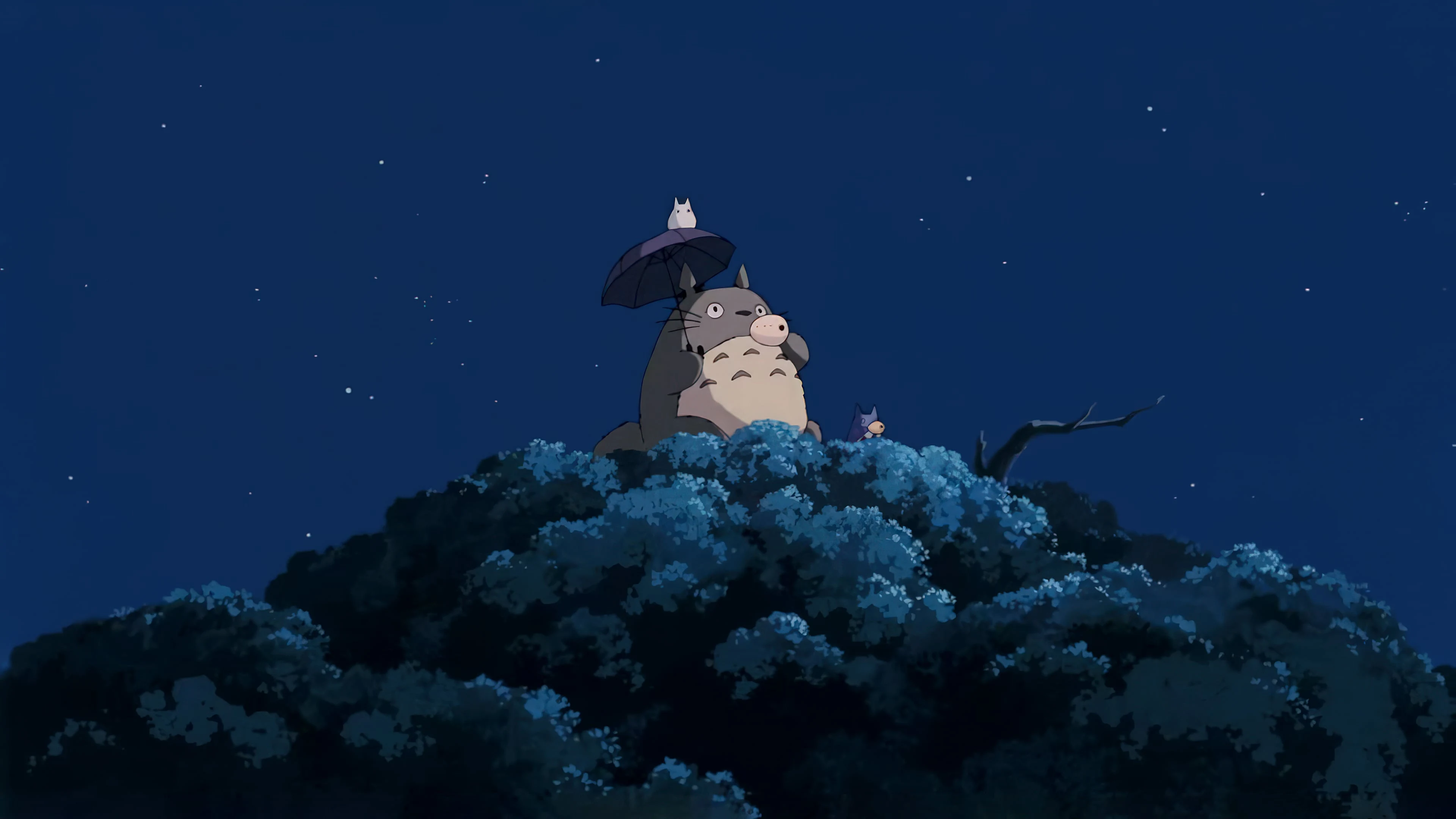 Quadro Studio Ghibli - Edição Especial Master