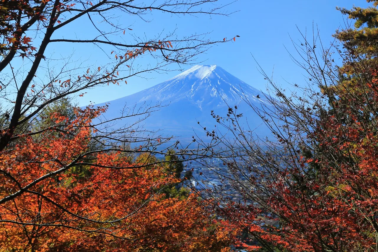 Qual é a Melhor e Mais Barata Época para Viajar para o Japão?