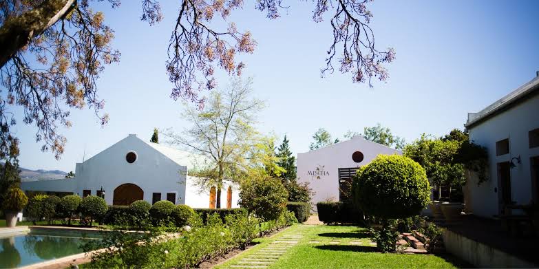 Onsite Liquidation Auction - 28 HA Premium Wine Farm - Wellington Wine Route A-3700
