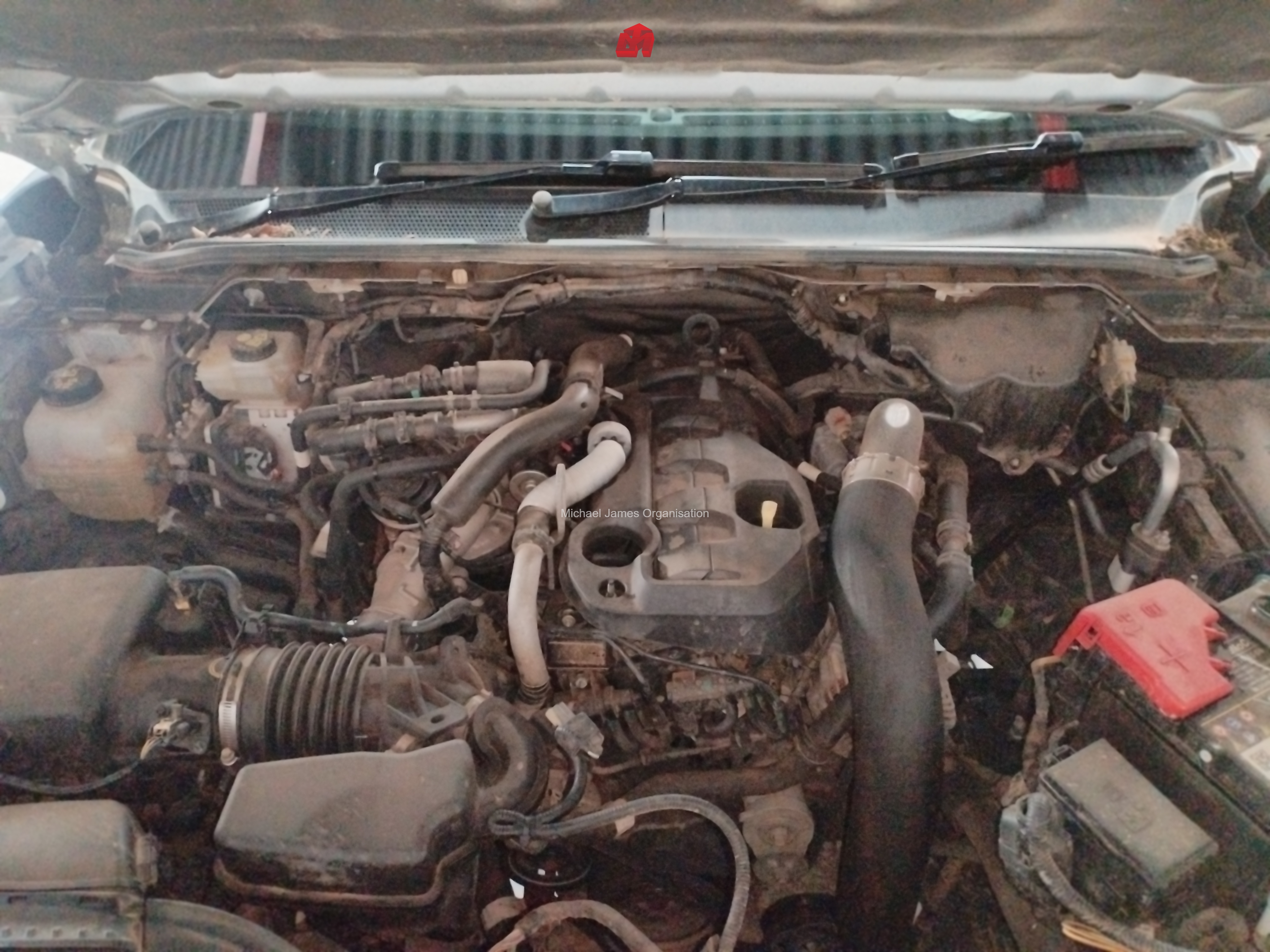 2025 FORD RANGER TREMOR 2.0 4X4 A/T thumbnail 10