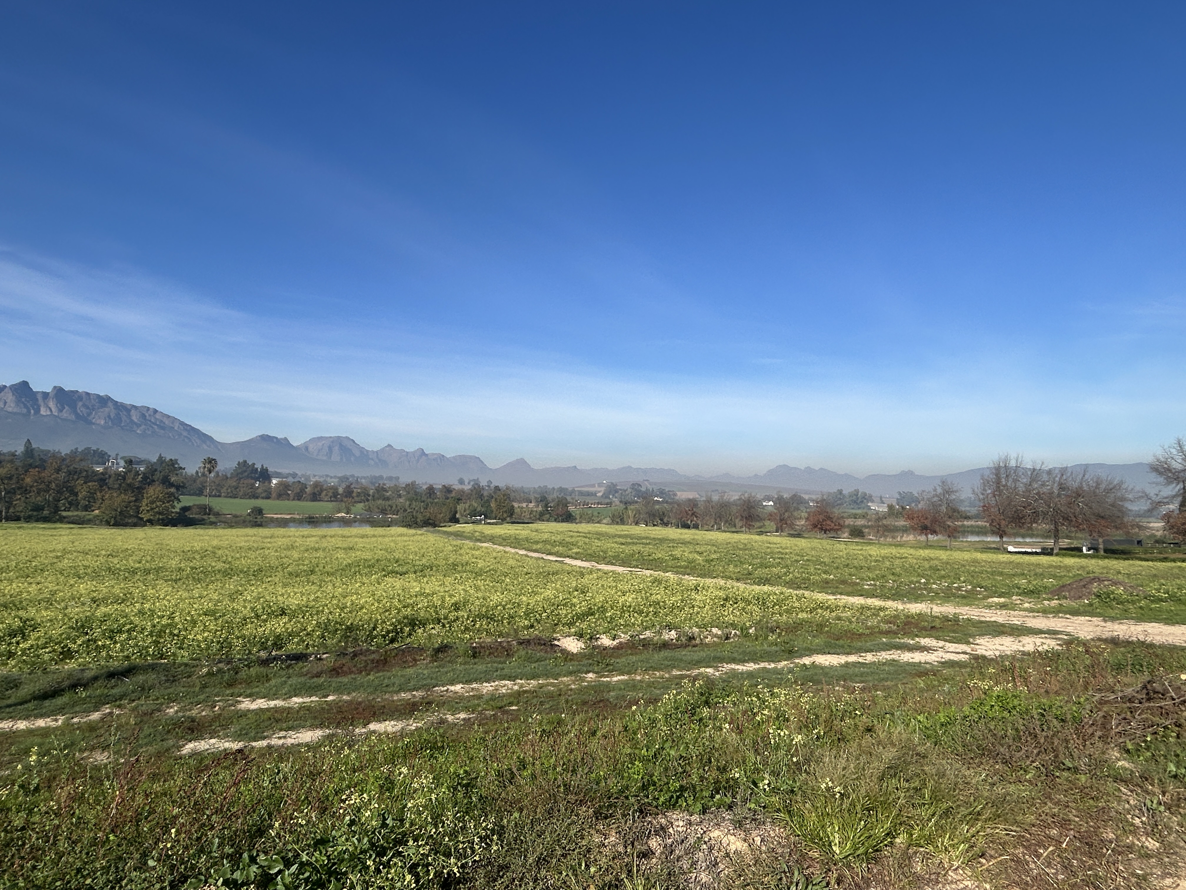 Well Developed Wine Farm With Established Infrastructure thumbnail 8