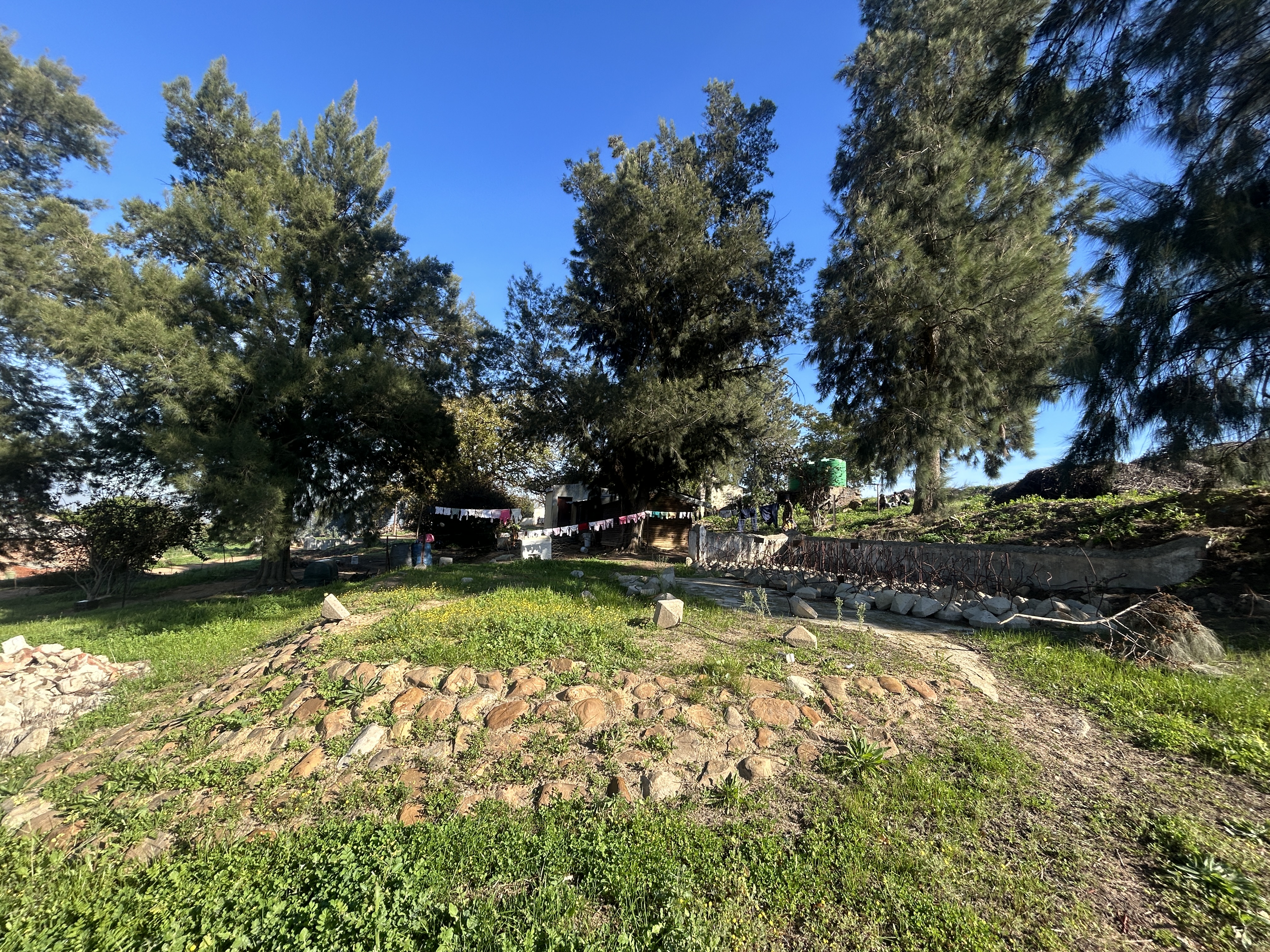 Well Developed Wine Farm With Established Infrastructure thumbnail 10