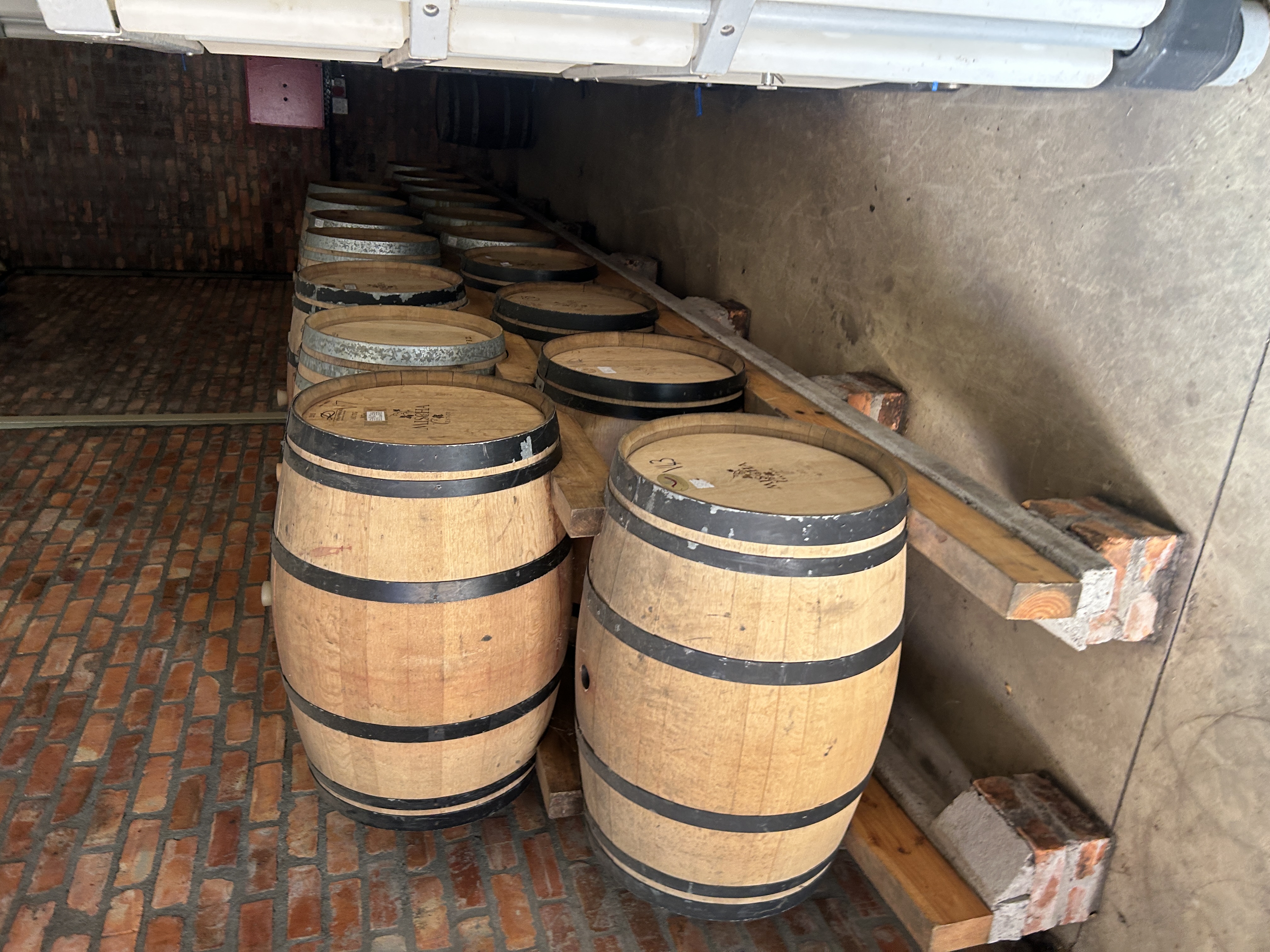 Well Developed Wine Farm With Established Infrastructure thumbnail 20
