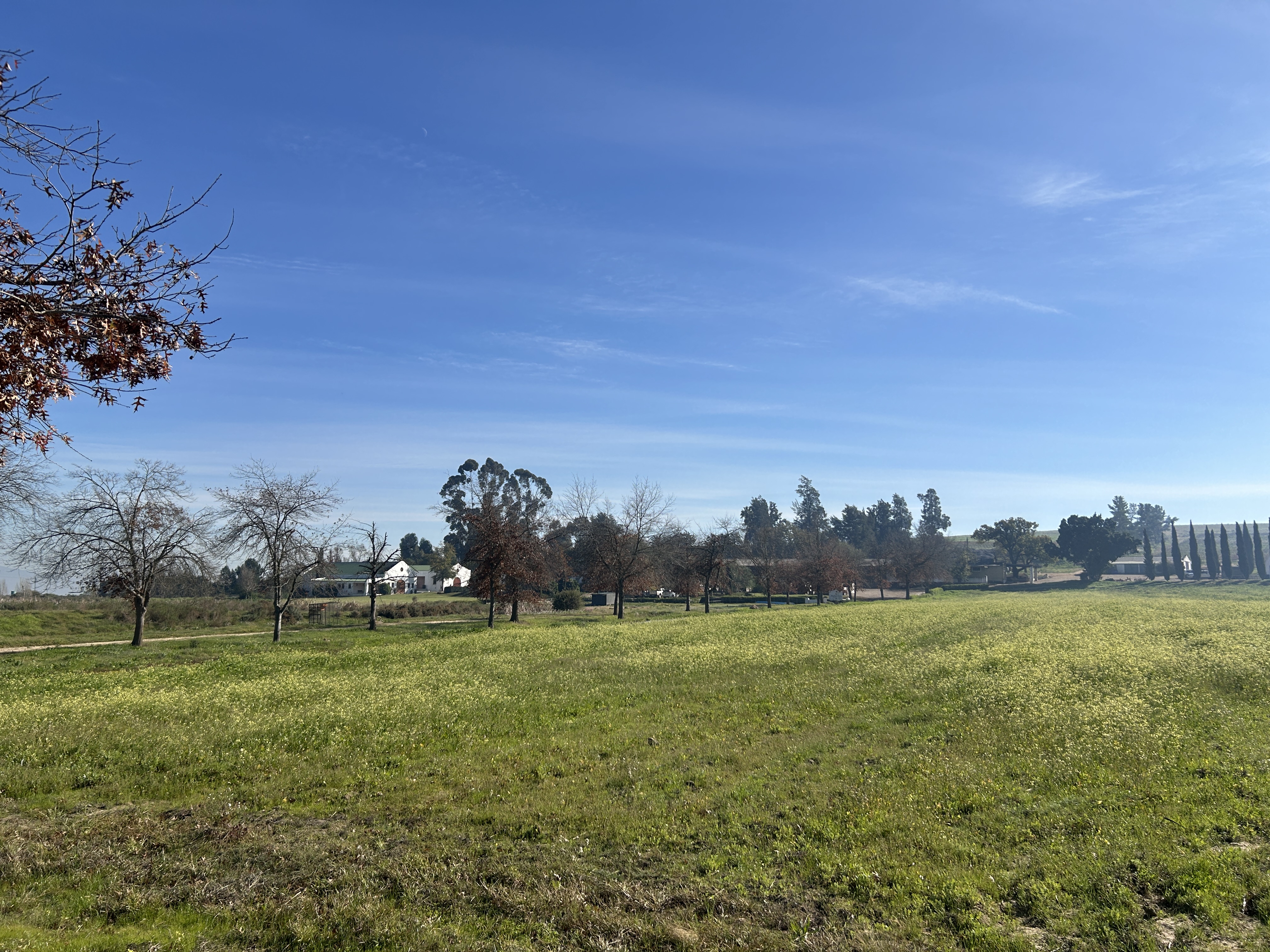 Well Developed Wine Farm With Established Infrastructure thumbnail 23