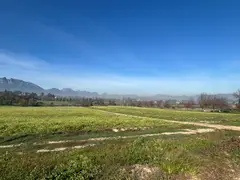 Well Developed Wine Farm With Established Infrastructure thumbnail 8