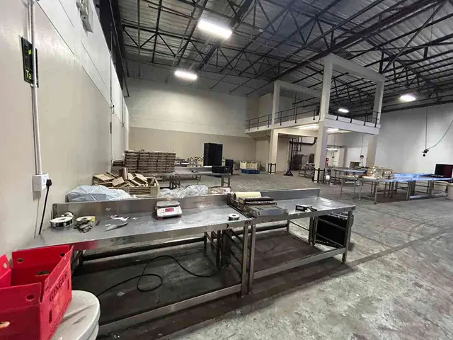 Fruit Manufacturing Packaging Equipment