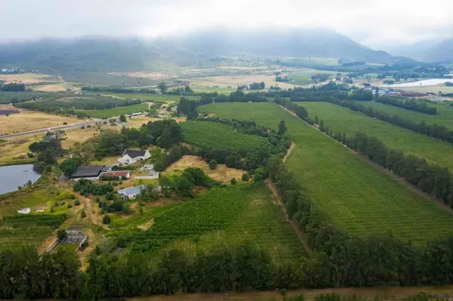 Established Pear Export Farm