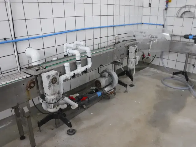 Stellenbosch Kaas - Liquidation Auction - Somerset West A-3560
