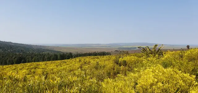 Onsite Liquidation Auction - 420 Hectare Fynbos Farm And Movable Assets A-3466