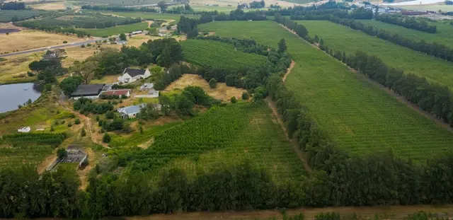Urgent Liquidation Auction - Beautiful Pear Farm Wolseley A-3640