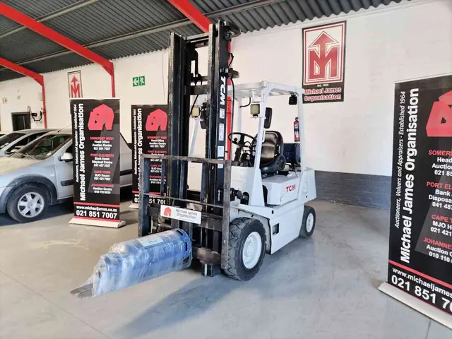 25 TCM GAS FORKLIFT