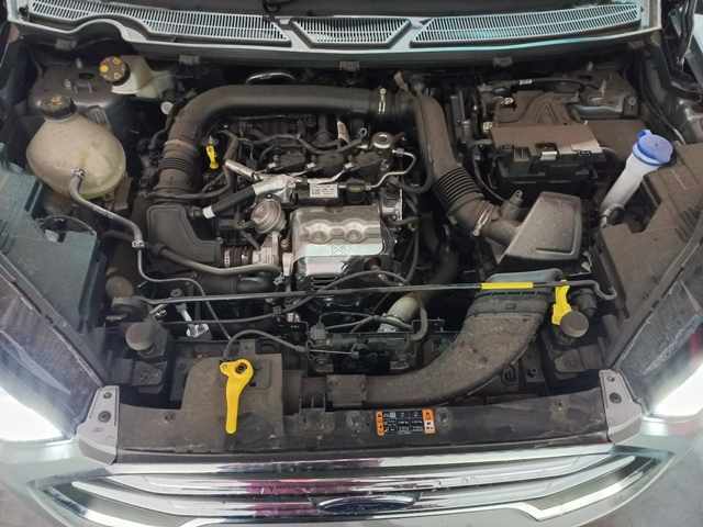2023 Ford Ecosport 1.0 A/T thumbnail 9