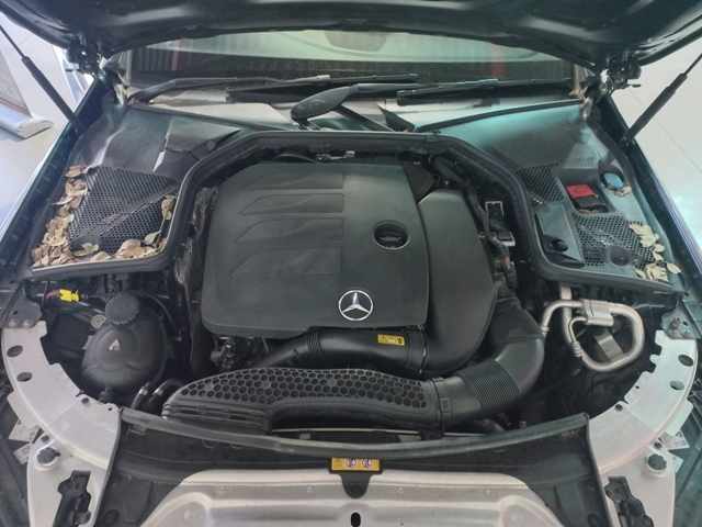 2019 Mercedes-Benz C300 A/T thumbnail 9
