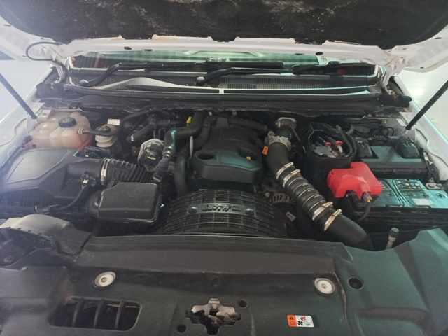 2021 Ford Ranger 2.0D XLT A/T P/U D/C thumbnail 9