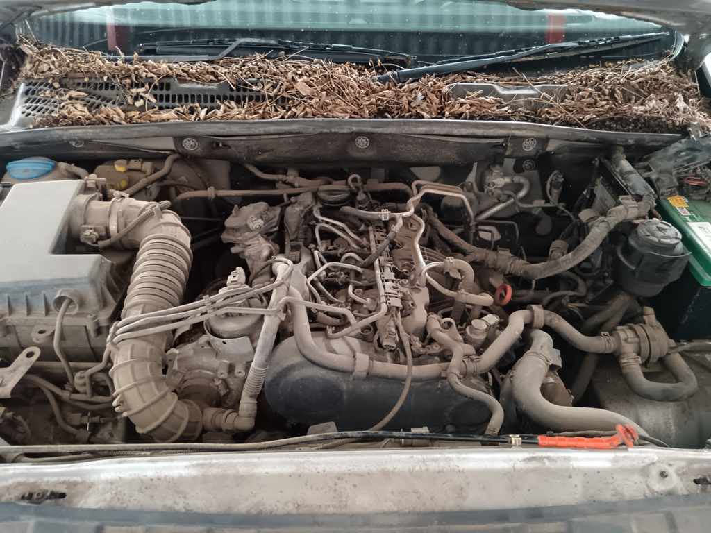 2011 VW AMAROK 2.0 BITDI 4MOT D/C P/U thumbnail 9