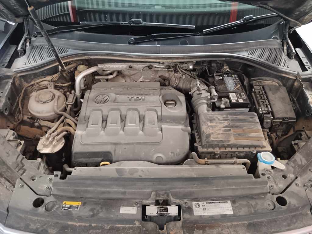 2019 VW TIGUAN 2.0 TDI DSG thumbnail 9