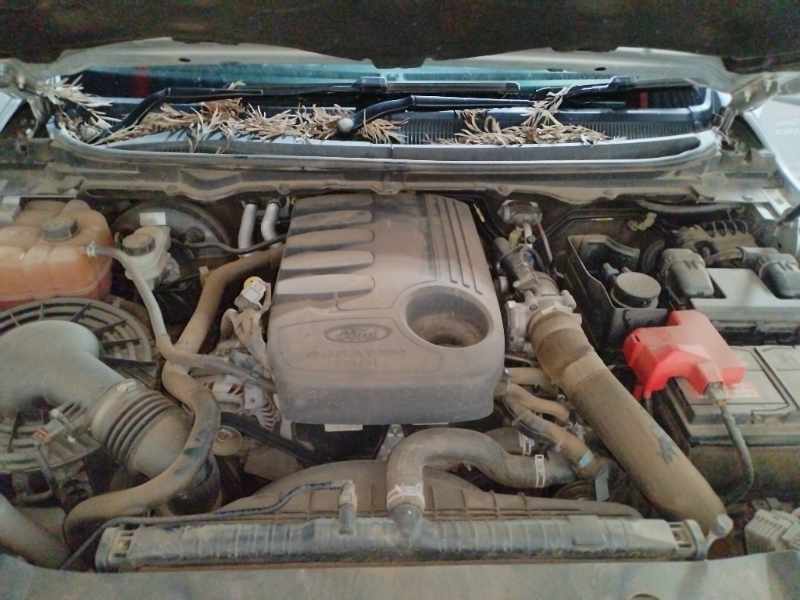 2017 FORD RANGER 3.2TDCi WILDTRAK A/T thumbnail 11