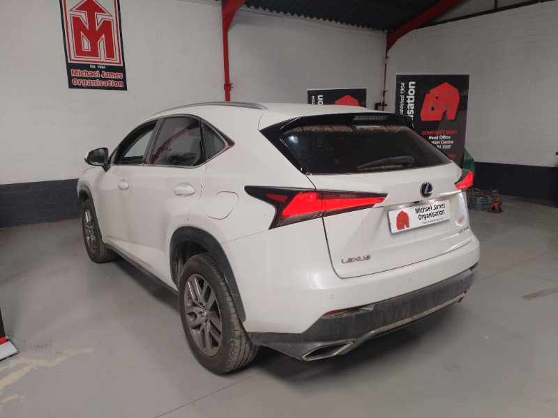 2020 LEXUS NX 300 EX thumbnail 6