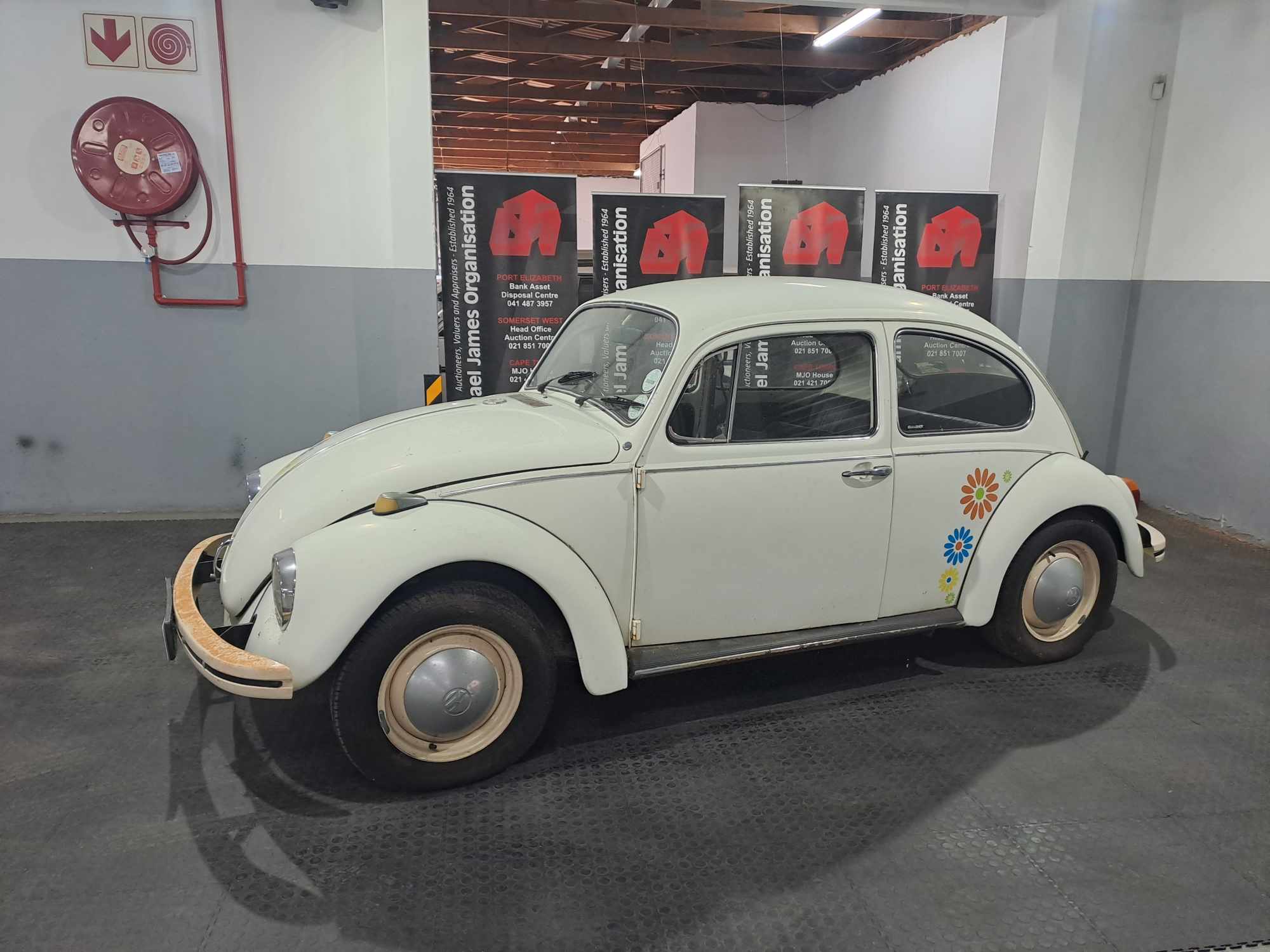 1969 VOLKSWAGEN BEETLE thumbnail 6