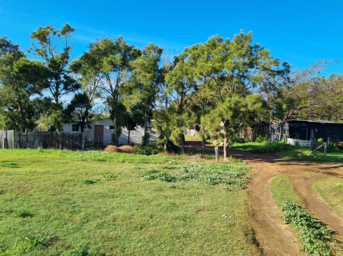 Prime Agricultural Property With Development Potential thumbnail 14
