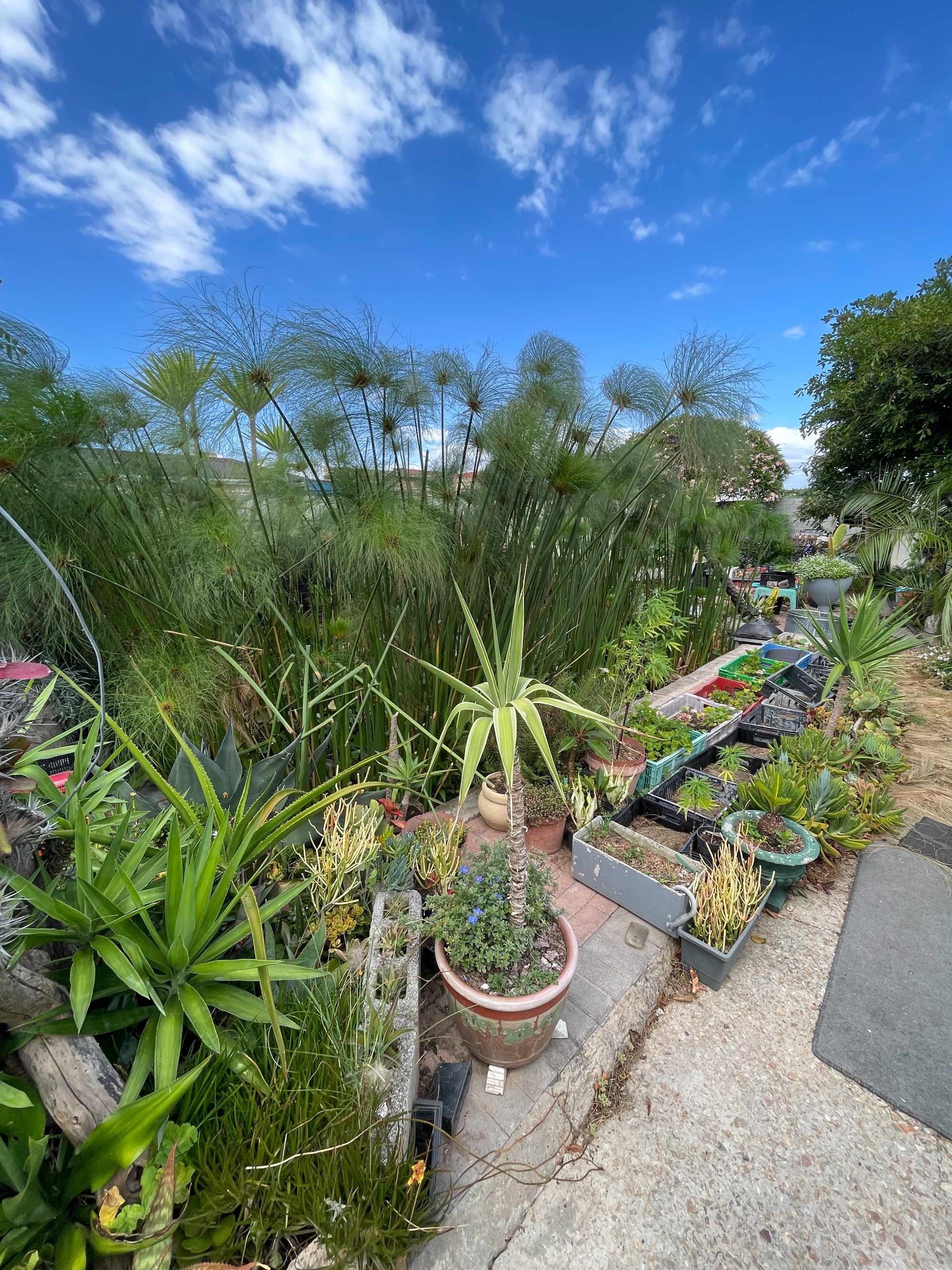Residential Property - Gqeberha thumbnail 13