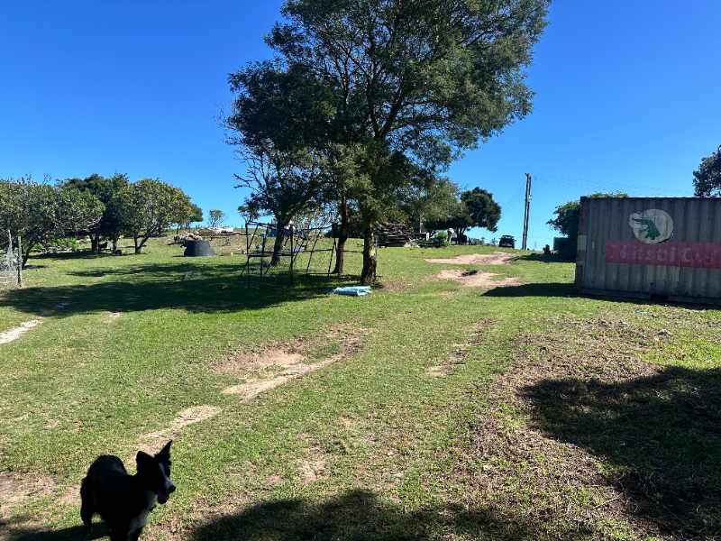Seaside Country Living – Spacious Smallholding Just Minutes from the City thumbnail 3