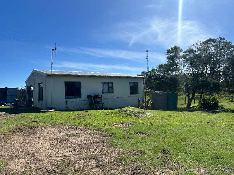 Seaside Country Living – Spacious Smallholding Just Minutes from the City thumbnail 4
