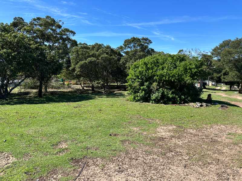 Seaside Country Living – Spacious Smallholding Just Minutes from the City thumbnail 5