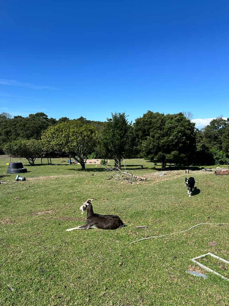 Seaside Country Living – Spacious Smallholding Just Minutes from the City thumbnail 10