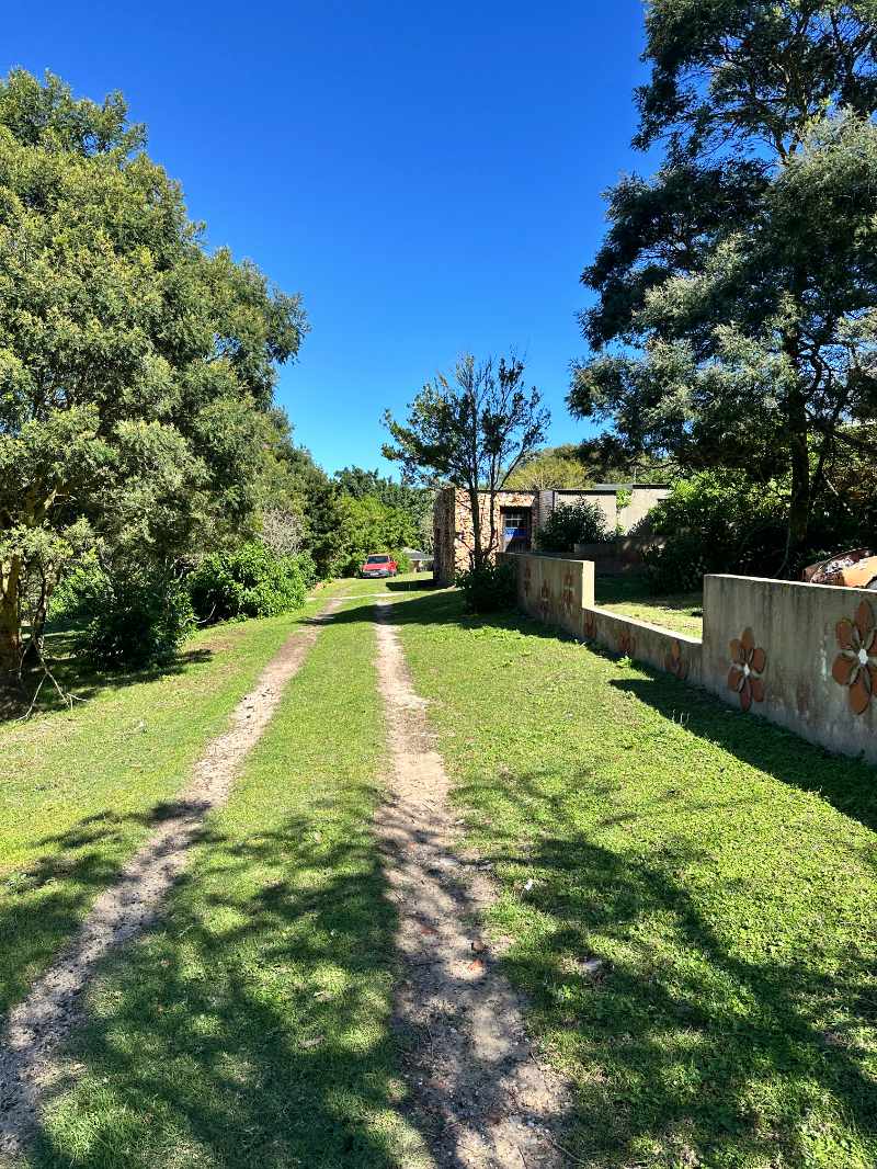 Seaside Country Living – Spacious Smallholding Just Minutes from the City thumbnail 11