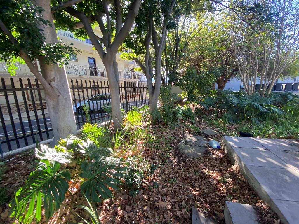 Prime Business Location - Somerset West thumbnail 4