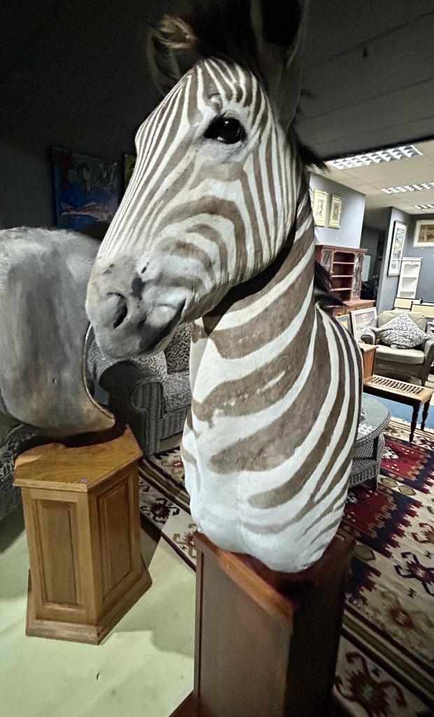 Warehouse Auction - Somerset West thumbnail 9