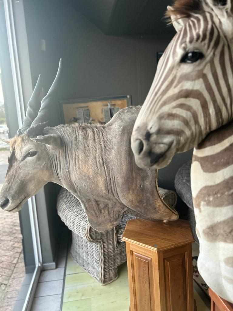 Warehouse Auction - Somerset West thumbnail 21