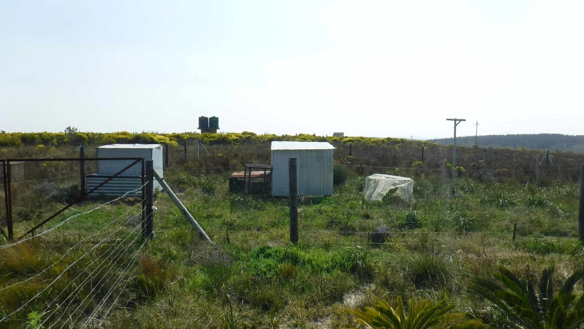 Pure Strandveld Splendour - Wolvengat Farm - To Be Sold At 10h00 thumbnail 5