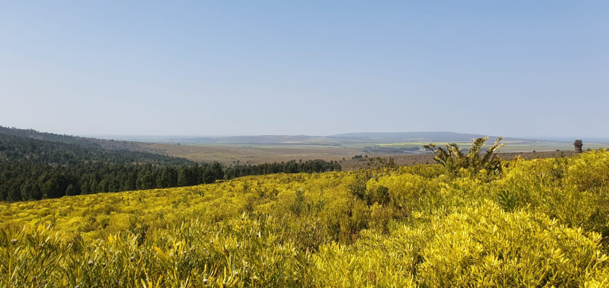 Onsite Liquidation Auction - 420 Hectare Fynbos Farm And Movable Assets