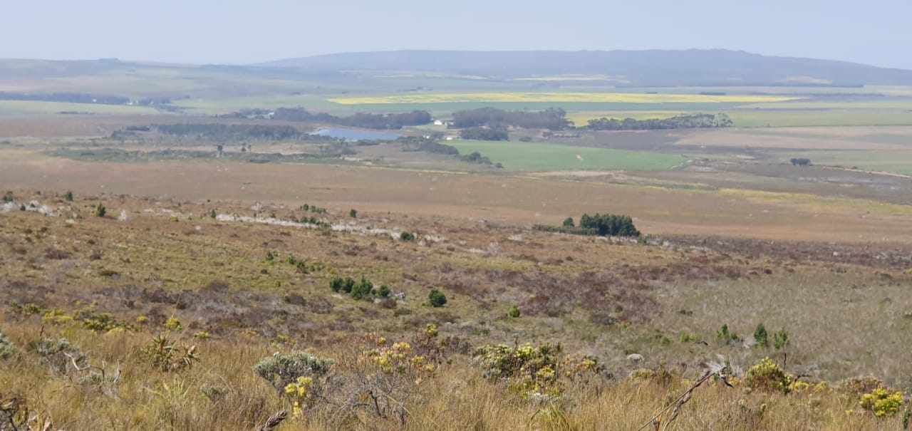 Pure Strandveld Splendour - Wolvengat Farm - To Be Sold At 10h00 thumbnail 21