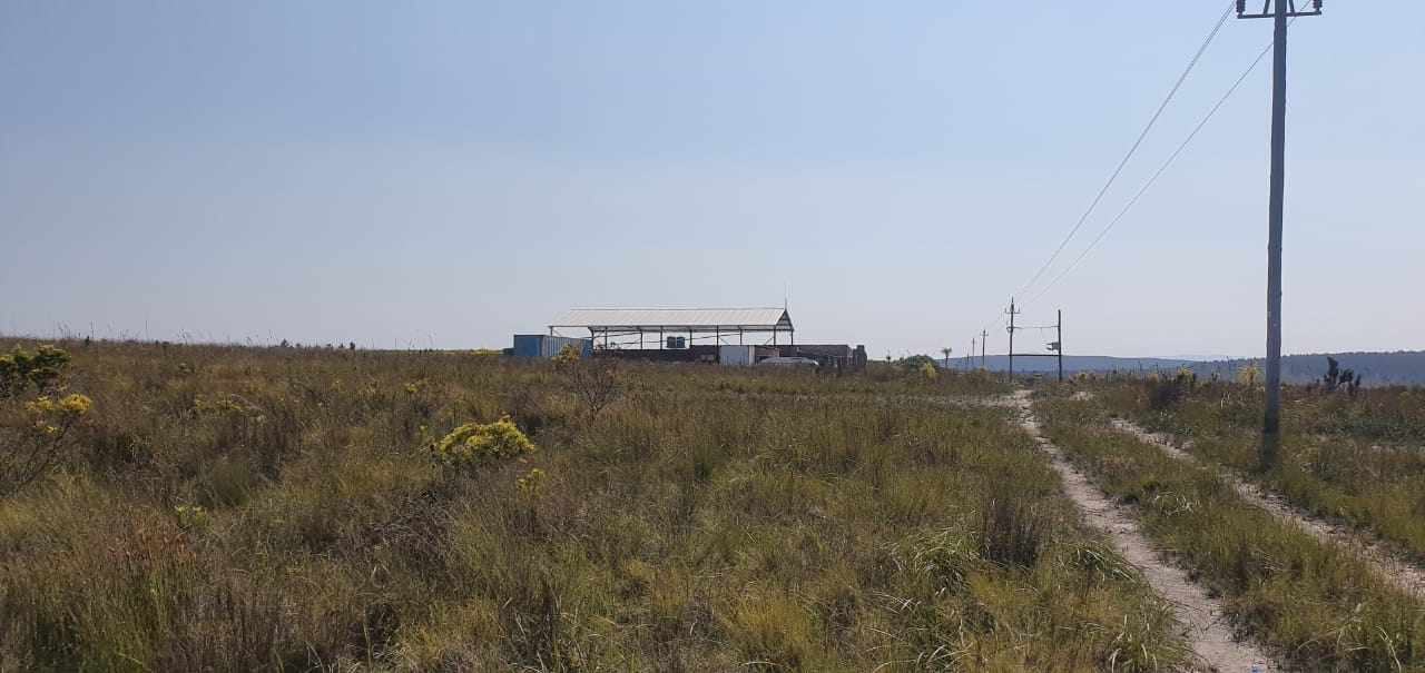 Pure Strandveld Splendour - Wolvengat Farm - To Be Sold At 10h00 thumbnail 24