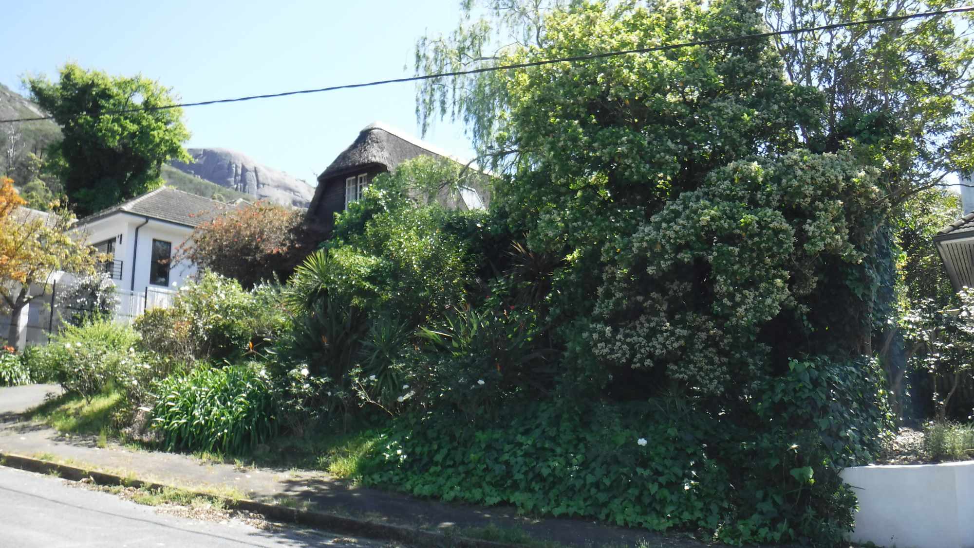 Country Living At It's Best - Paarl, Winelands thumbnail 4