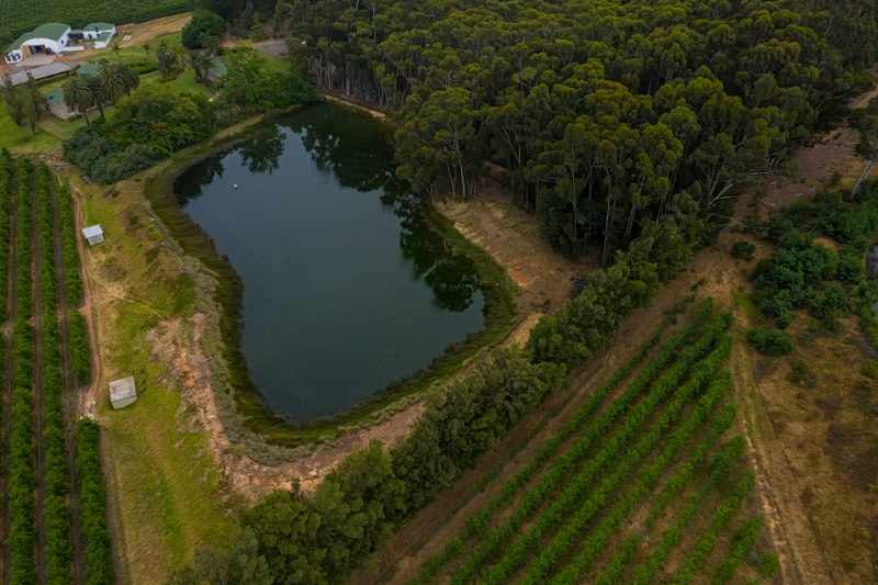 Established Pear Export Farm thumbnail 9