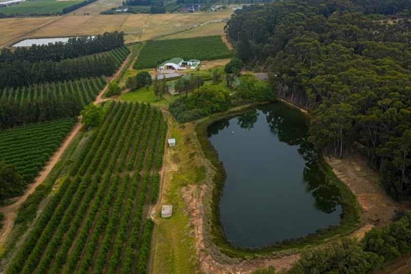 Established Pear Export Farm thumbnail 10