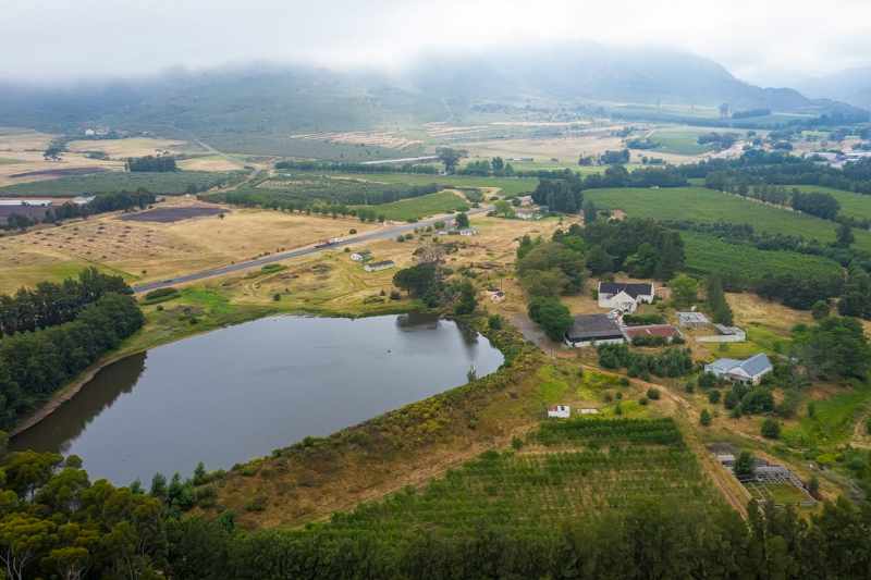 Established Pear Export Farm thumbnail 13